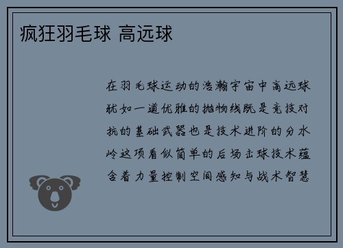 疯狂羽毛球 高远球