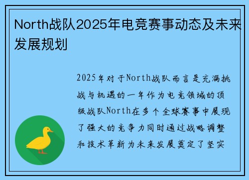 North战队2025年电竞赛事动态及未来发展规划